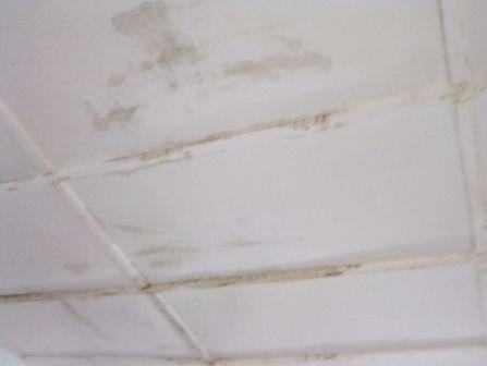 Fuite plafond 