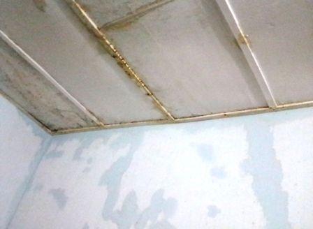 Fuite plafond 